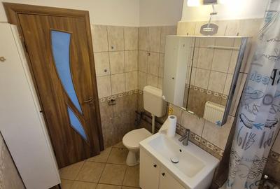 3 Cam--Girocului--3 Min de Spital Jududetean-Mobilat--Utilat-Centrala-400 Euro! - 18