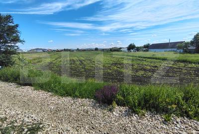 Teren agricol intravilan de 4300 mp, în Jucu de Mijloc