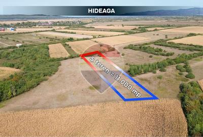 Teren agricol extravilan de 11000 mp, în Satulung