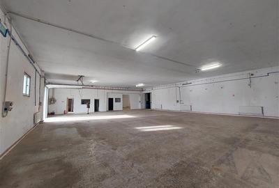 Hala cu rampa din beton, 410 mp sau 860 mp de inchiriat - 3