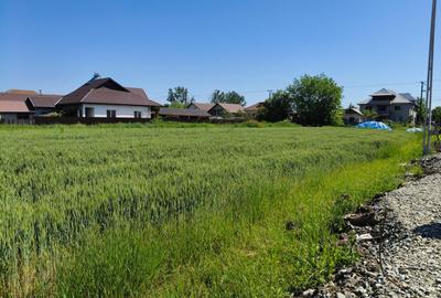 Teren 10.294 mp de vânzare Târgu Jiu | Intravilan + Extravilan | Utilități - 5