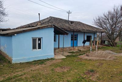 Casă bătrânească + Teren generos 4.208 mp – Cerna, Tulcea (Toate utilitățile) - 1