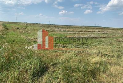 Teren Construcții extravilan de 49600 mp, în Moara Vlăsiei