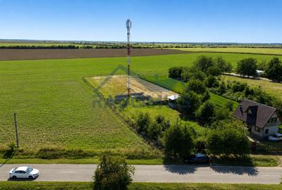 Teren intravilan 1.726 mp | Mălamuc, PH – liniște | Acces A3 - 4