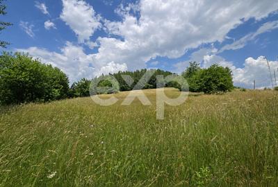 Teren agricol extravilan de 6643 mp, în Poiana Mărului