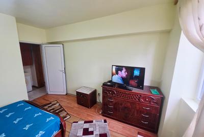 Vanzare apartament 2 camere decomandat, Malu Rosu, parter inalt - 19