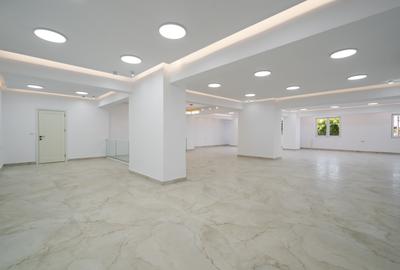 Spațiu comercial – 275 mp Colentina, stradal, vad - Direct Proprietar - 13
