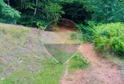 De vânzare teren intravilan 3,690mp Suncuius - 11