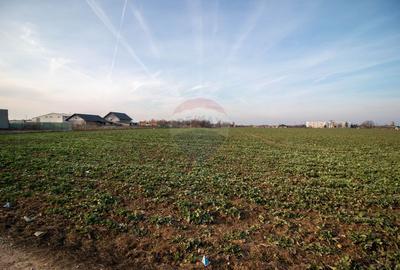 Teren Intravilan de vanzare 21000 mp Balotesti Central Soseaua Unirii - 11