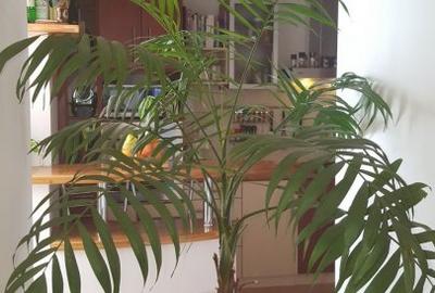 PF dau in chirie apartament modern 4 camere - 113 mp Zorilor, parcare inclusa - 4