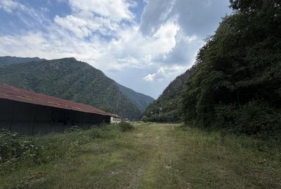 Teren de vânzare – 13.500 mp | DN7 – Valea Oltului | Brezoi - 6