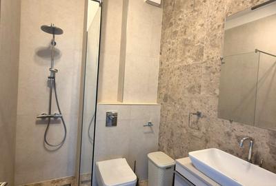 Locatie privilegiata: La ISHO cu 2 terase cu Vedere către Râul Bega - 22