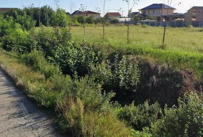 Vanzare doua parcele teren constructii,Mosnita Noua,str,Campului,1232 mp - 3