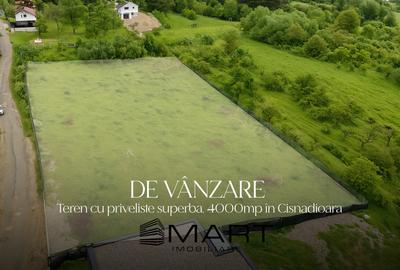 Teren de 4000 mp, în Cisnădioara