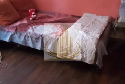 Casă individuala  + construcție nouă | Dudeștii Noi | Teren 1.300 mp - 8