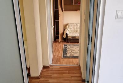 Sud ,se inchiriaza apartament decomandat 3 camere,pret 300 euro - 10