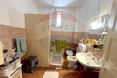 Casă individuala, cu 6 camere 250m2/ 423m2 teren zona parc Baia Mare - 24