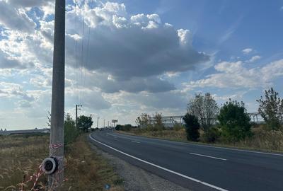 (308) Teren in zona industriala Albota, langa Pitesti / Direct proprietar - 2