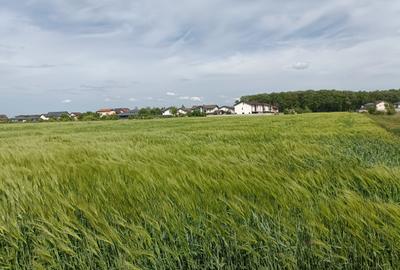 Teren intravilan lotizat, 8236 mp, Corbeanca - 1