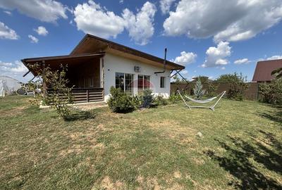 Căsuța din livadă, Ciofliceni (IF) | 4 dormitoare, 1.000 mp teren - 3
