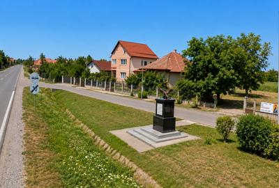 Teren intravilan de vânzare – Doba - 2
