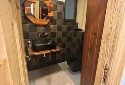 Inchiriere apartament cu 4 camere cu vedere in  Parcul Cismigiu - 14