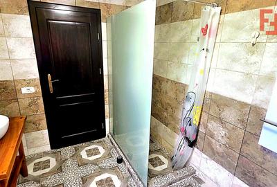 Cabana cu 7 camere de vanzare in Albac - V10073 - 25