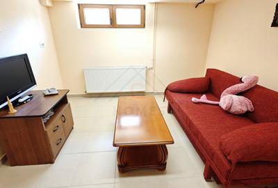 Casa mare. Posibil si clinica, camin batrani, invatamant, sediu firma. - 38