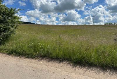 Teren extravilan 10.000 mp situat pe UAT Sibiu / zona Dealul Daii - 3