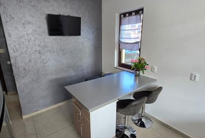 Duplex 4 camere, zona Urusagului - 13