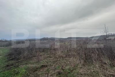 Teren Construcții extravilan de 10000 mp, în Nord