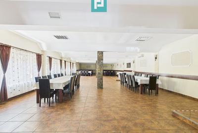 Pensiune la Orțișoara - 7