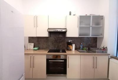 Apartament cu 3 camere - curte cu foisor + spatiu parcat masina - 10