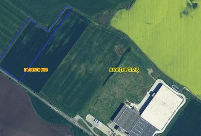Dudestii Noi 10 ha comasate la 11 km de Timisoara - Ideal investitie ! - 6