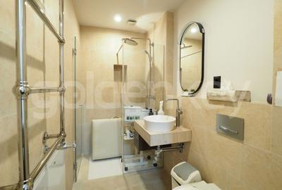 Vila reprezentativa langa Piata Victoriei | 413mp utili - 20