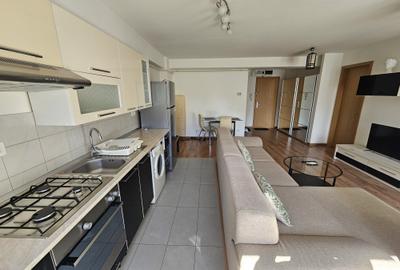Apartament 2 Camere Bulevardul Timisoara nr 58 (mobilat si utilat complet) - 12