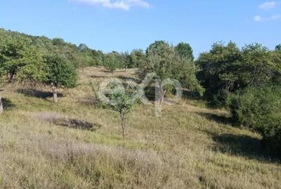 Teren extravilan de vânzare Tigveni | 4.944 mp | Panoramă superbă - 5