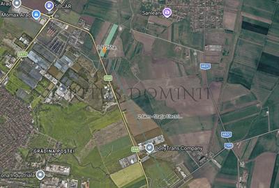 Teren Industrial de 4 hectare, Centura Arad, Livada - 2