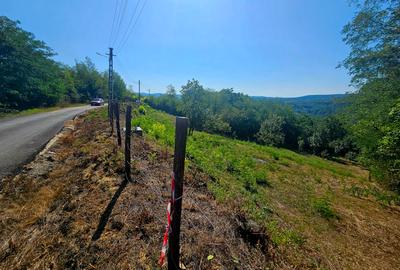 Teren intravilan 2322 mp, Păcuri – vedere superbă spre pădure! - 1