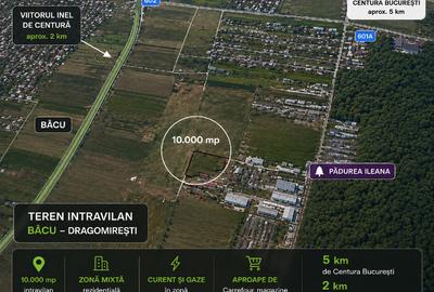 Teren Construcții intravilan de 10000 mp, în Joița