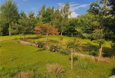 Teren intravilan - ultimul lot de 698mp in Sacel - zona lacuri - 9
