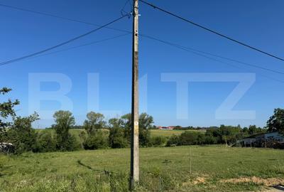 Teren Construcții intravilan de 2877 mp, în Lăzăreni