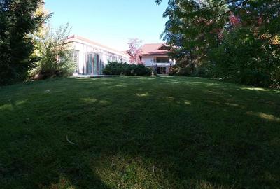 Vila 2.700mp, Paradisul Verde, cu piscina si padure proprie - 16