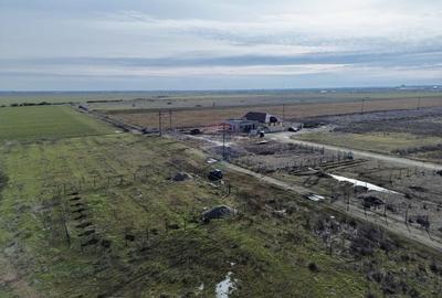 Teren Focsani / Strada Cuza Voda/ Intrare Petresti - 7