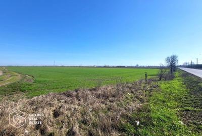 Teren agricol extravilan de 31400 mp, în Nord-Est
