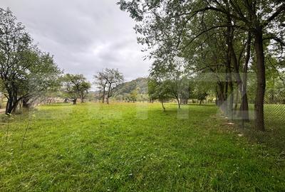 Teren Construcții de 155 mp, în Viișoara