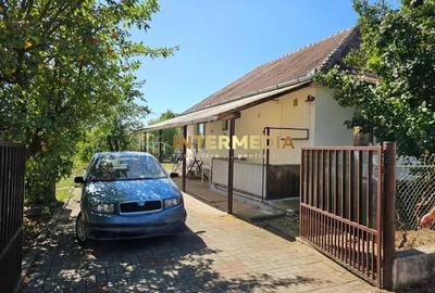 Casă individuală cu 3 camere în Cetate
