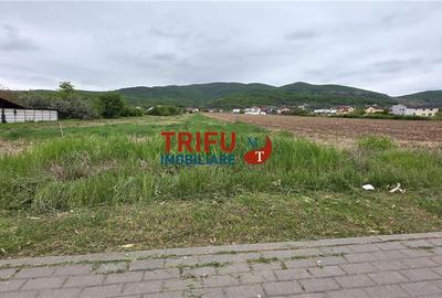 Teren Construcții intravilan de 4088 mp, în Ampoi 1