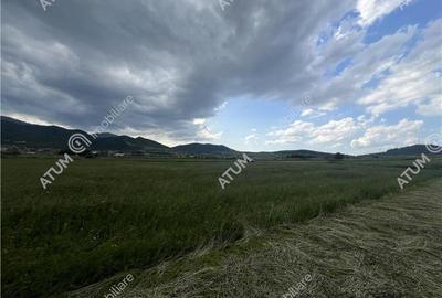 Teren intravilan de 3477 mp cu deschidere de 35 m in Boita - 6
