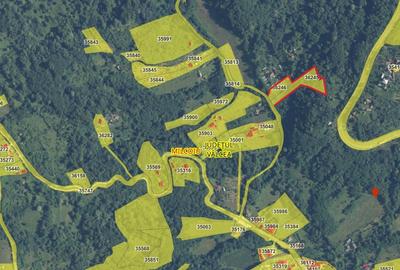 DE VANZARE 5.057 MP TEREN MIXT- MILCOIU, jud VÂLCEA - 6